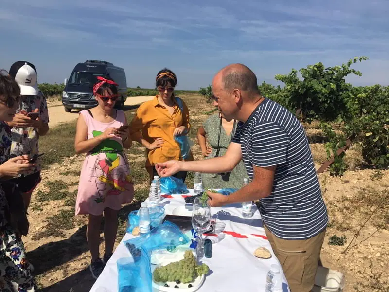 Before harvesting, we sample