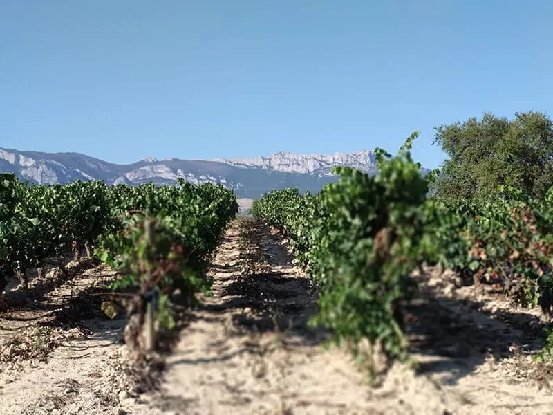 Casa de Eguía, parte de nuestro paisaje