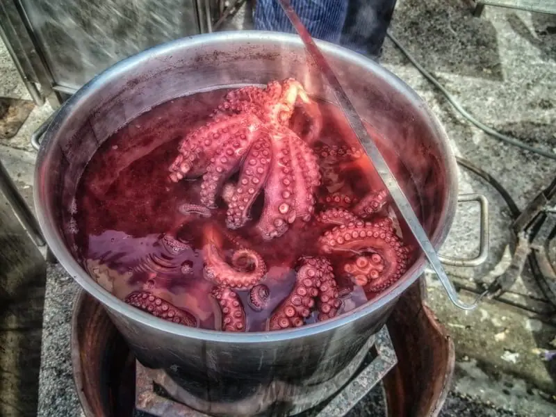 Pulpo á feira y Pazo Cilleiro