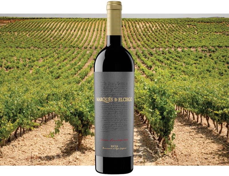 Nuestro primer Viñedo Singular