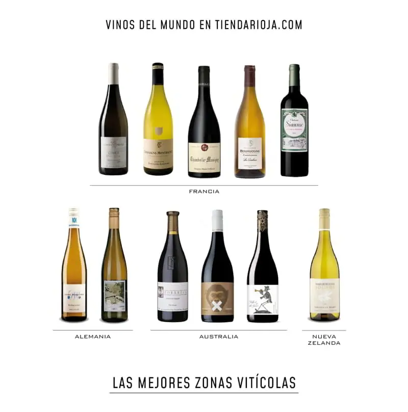 International wines at TiendaRioja.com