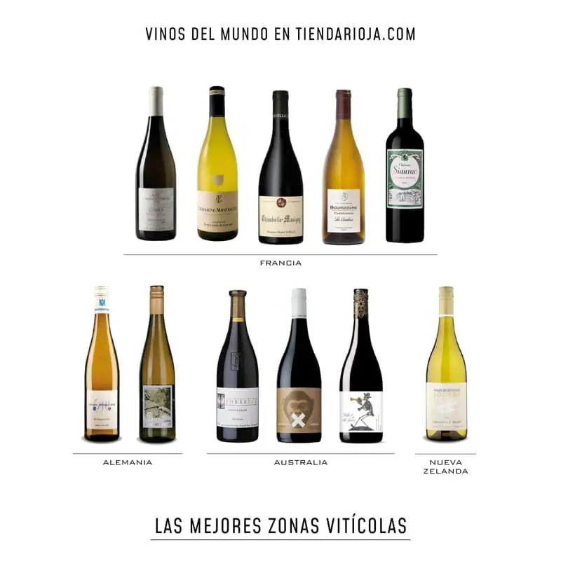 Vinos internacionales desde TiendaRioja.com