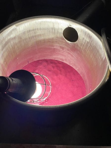 The first red wine of 2020