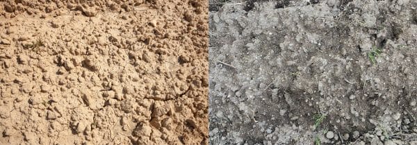 Lithology and vineyard, a close relationship