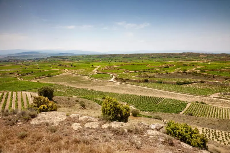 Paseo triangular alrededor de Elciego