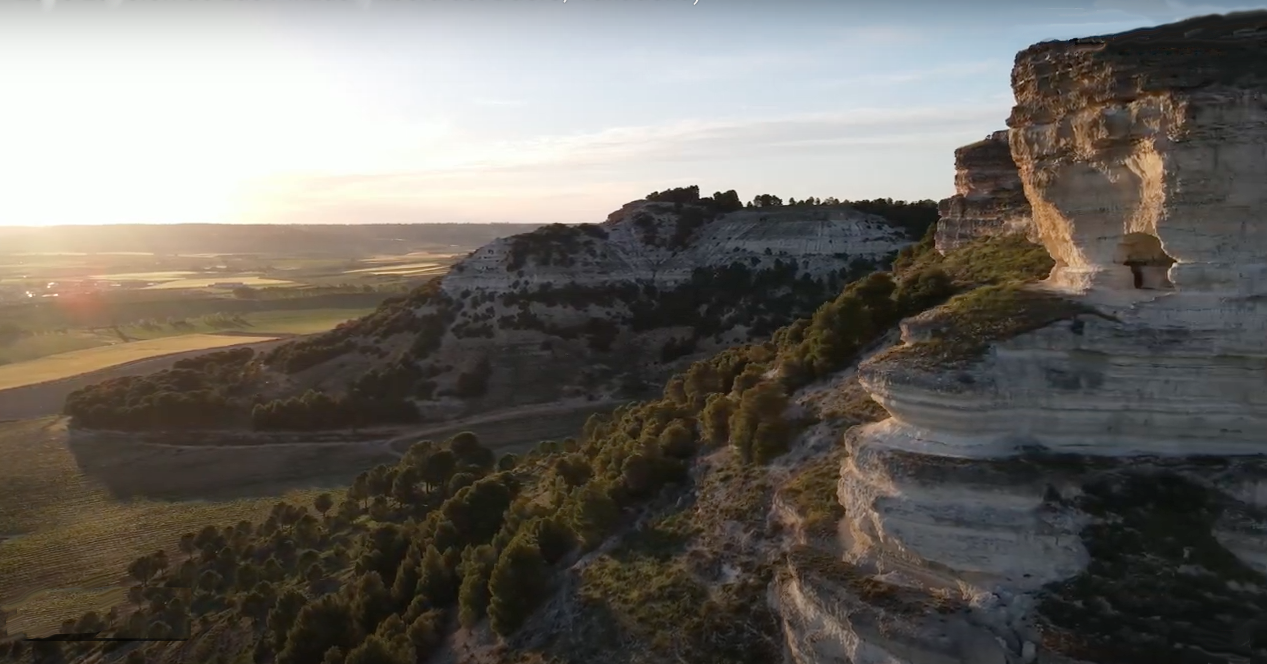 Valdecuriel: our new bodega in Ribera del Duero