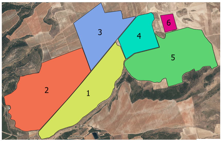 Understanding the soils of Finca Montalvillo